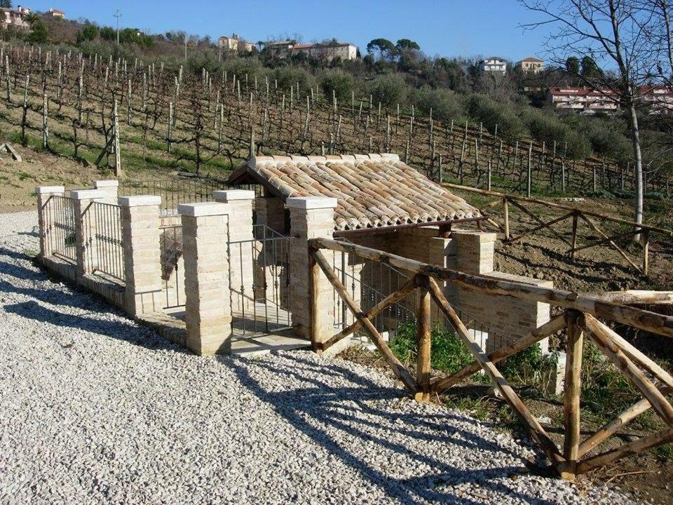 B&B L' Antica Fonte Spinetoli Экстерьер фото